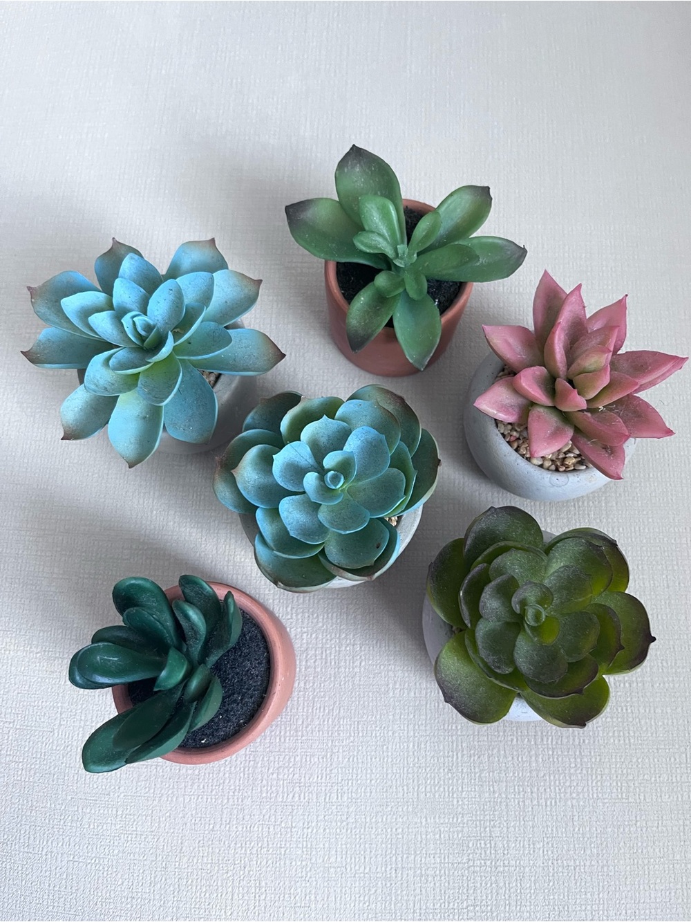 Cost Plus World Market Faux Succulents — Green, Teal & Pink, 3”h